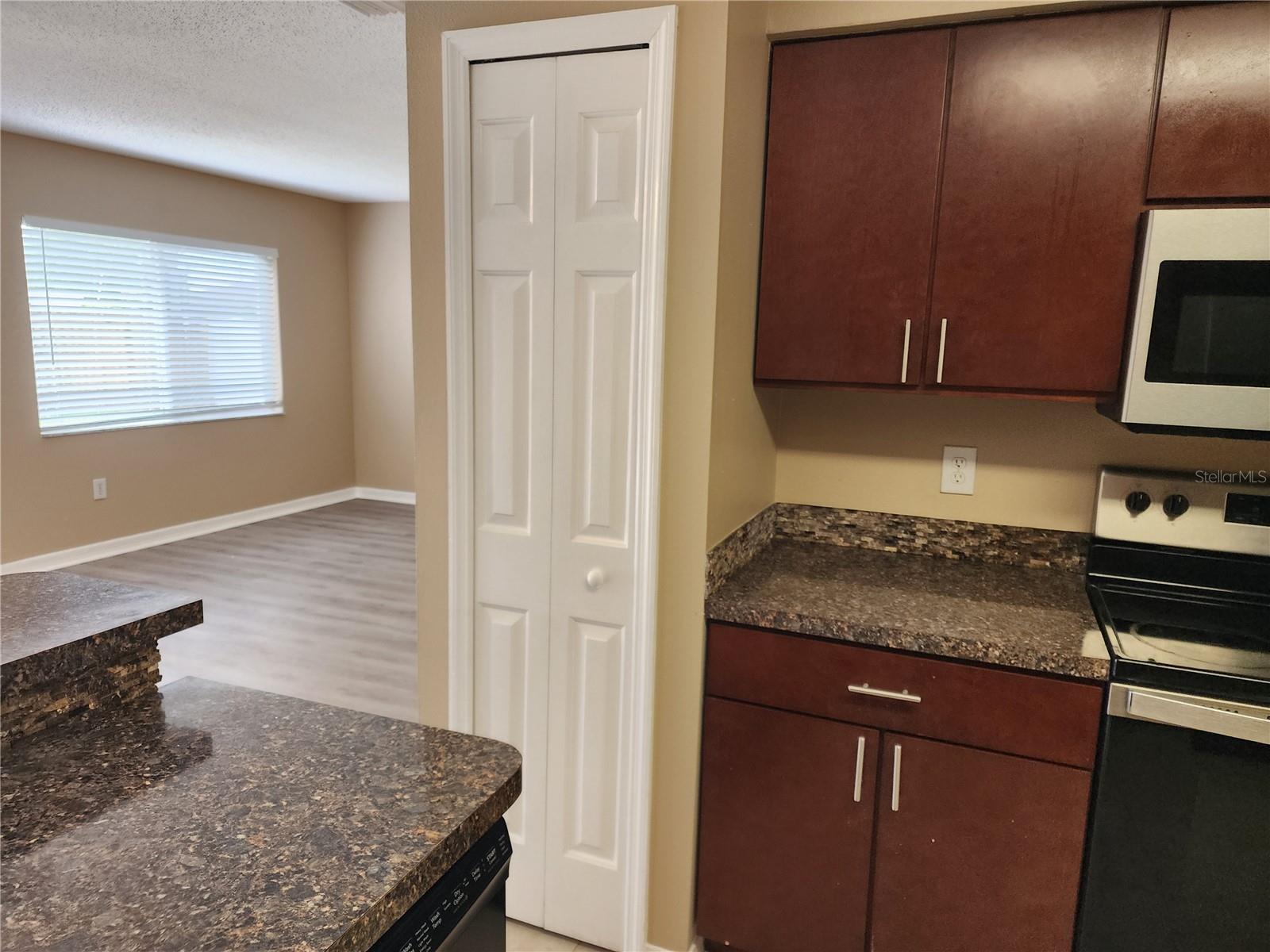 10801 CANDLE STICK LN, RIVERVIEW, FL, 33579