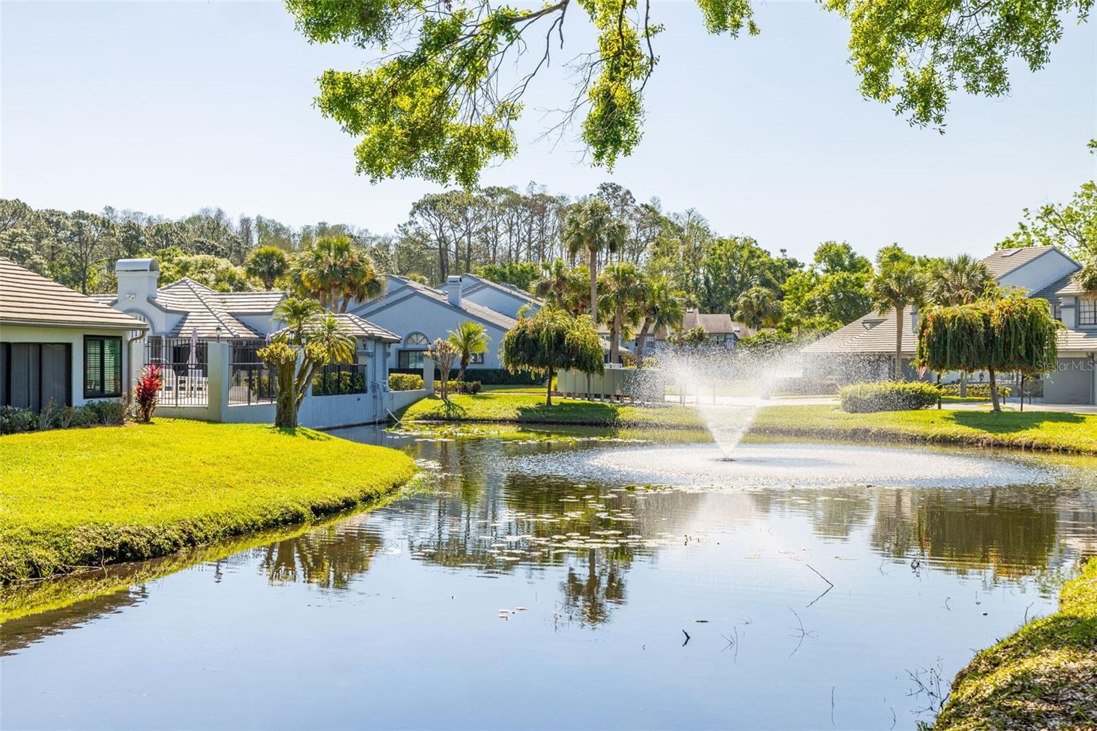 4146 BRENTWOOD PARK CIR, TAMPA, FL, 33624