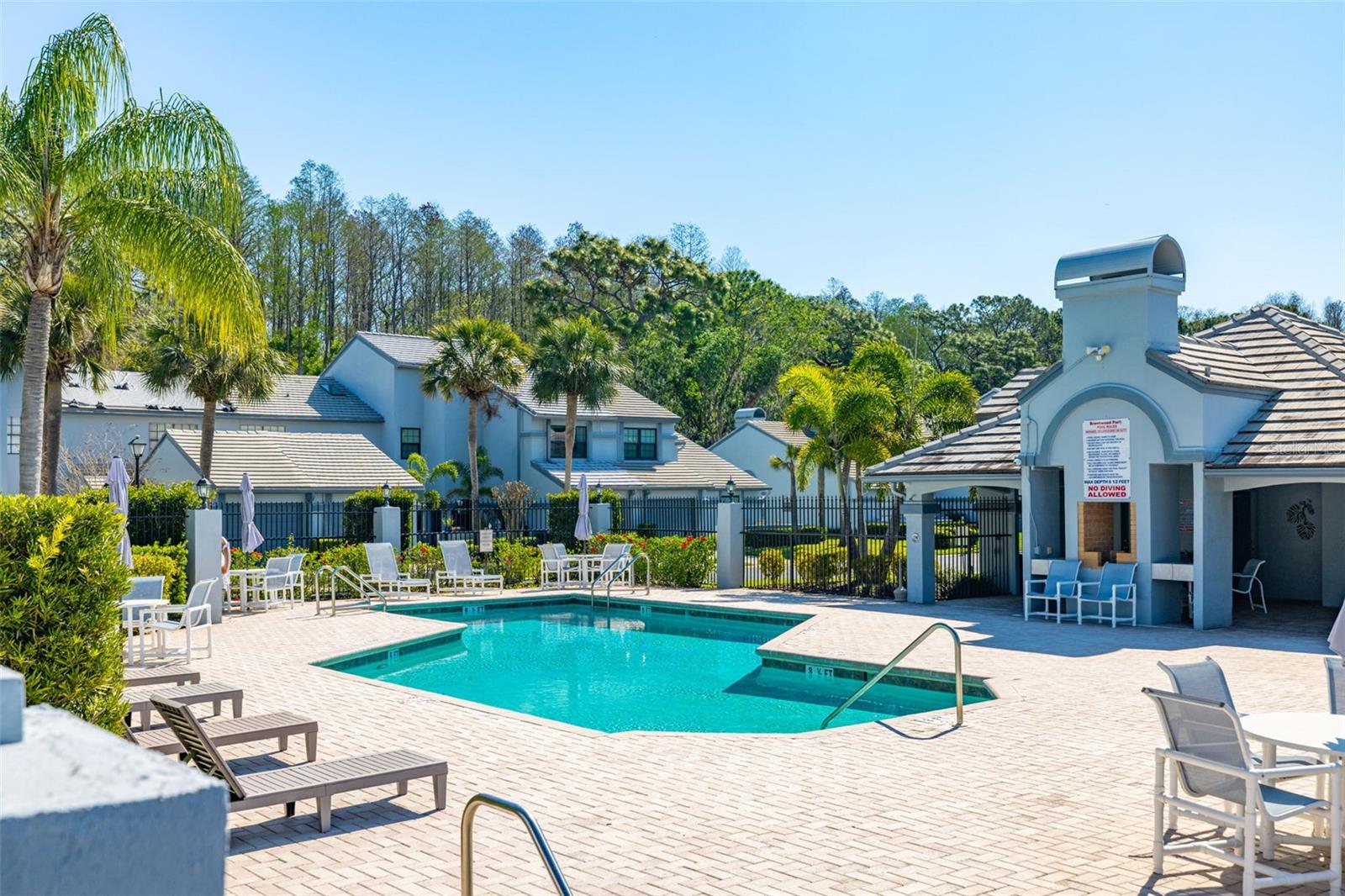 4146 BRENTWOOD PARK CIR, TAMPA, FL, 33624