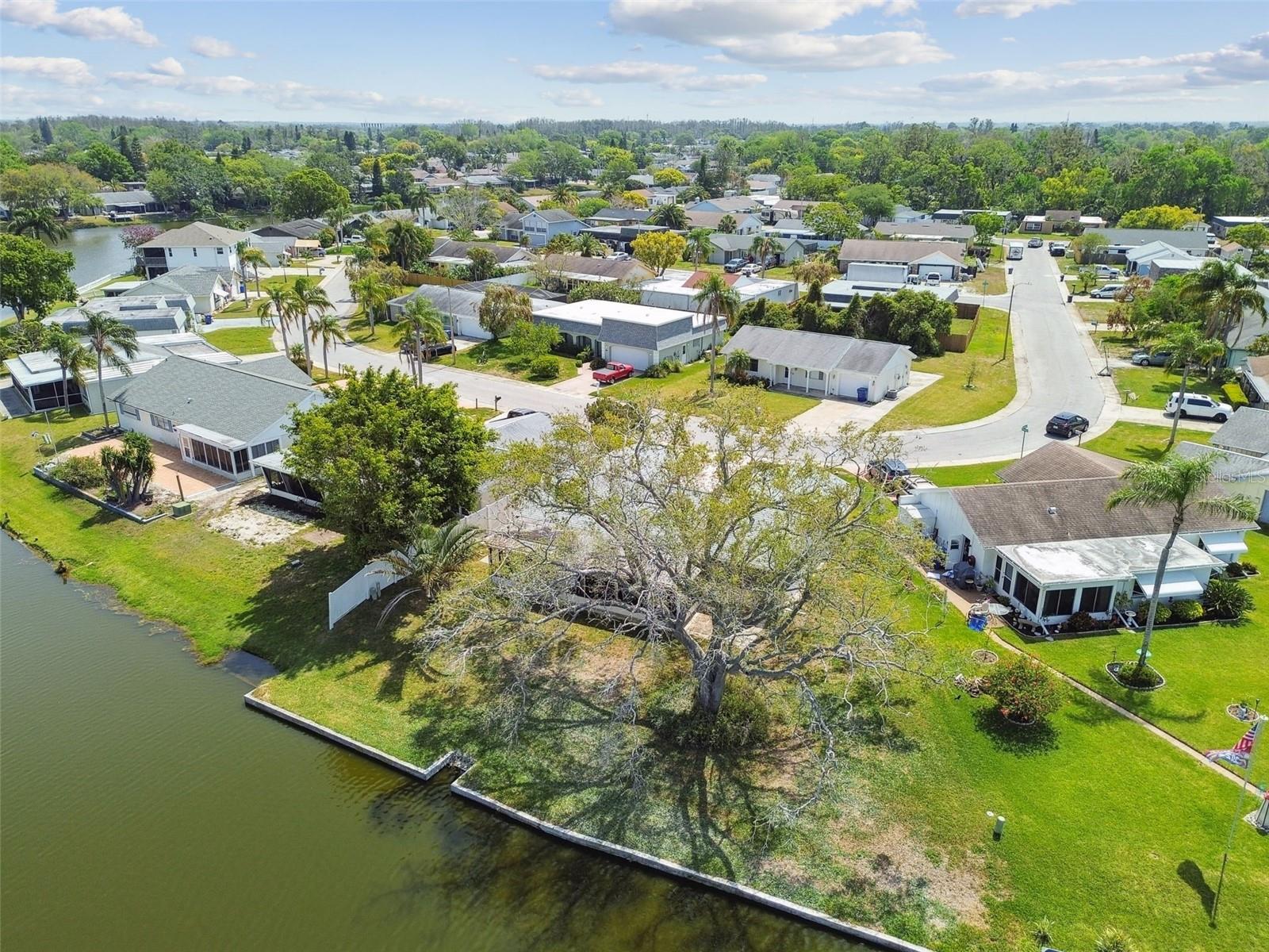 3662 OVERLAND DR, HOLIDAY, FL, 34691
