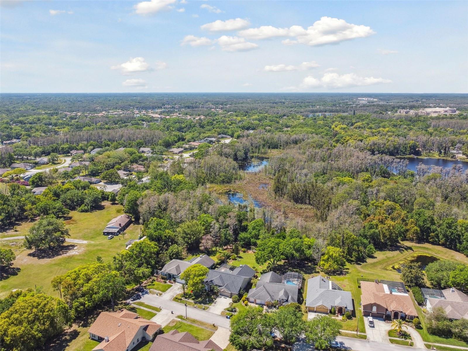 17704 CRYSTAL COVE PL, LUTZ, FL, 33548