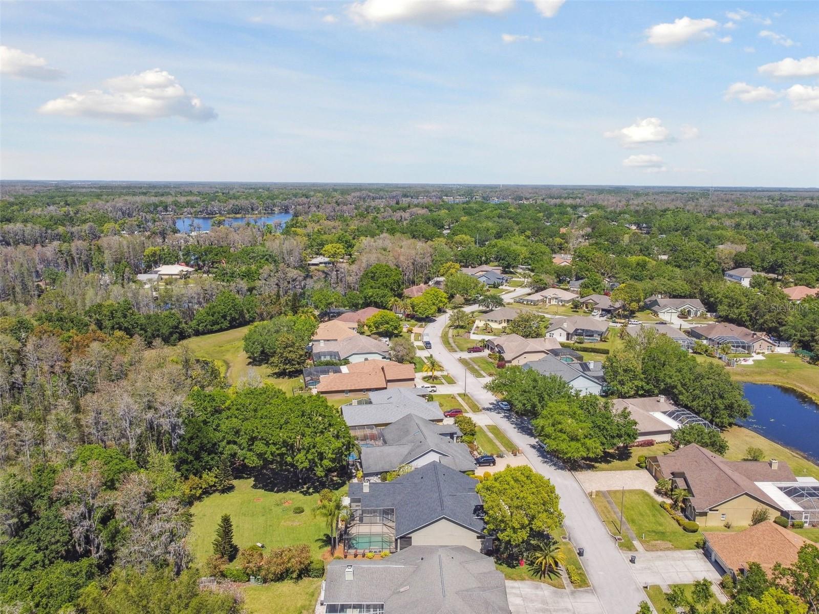 17704 CRYSTAL COVE PL, LUTZ, FL, 33548