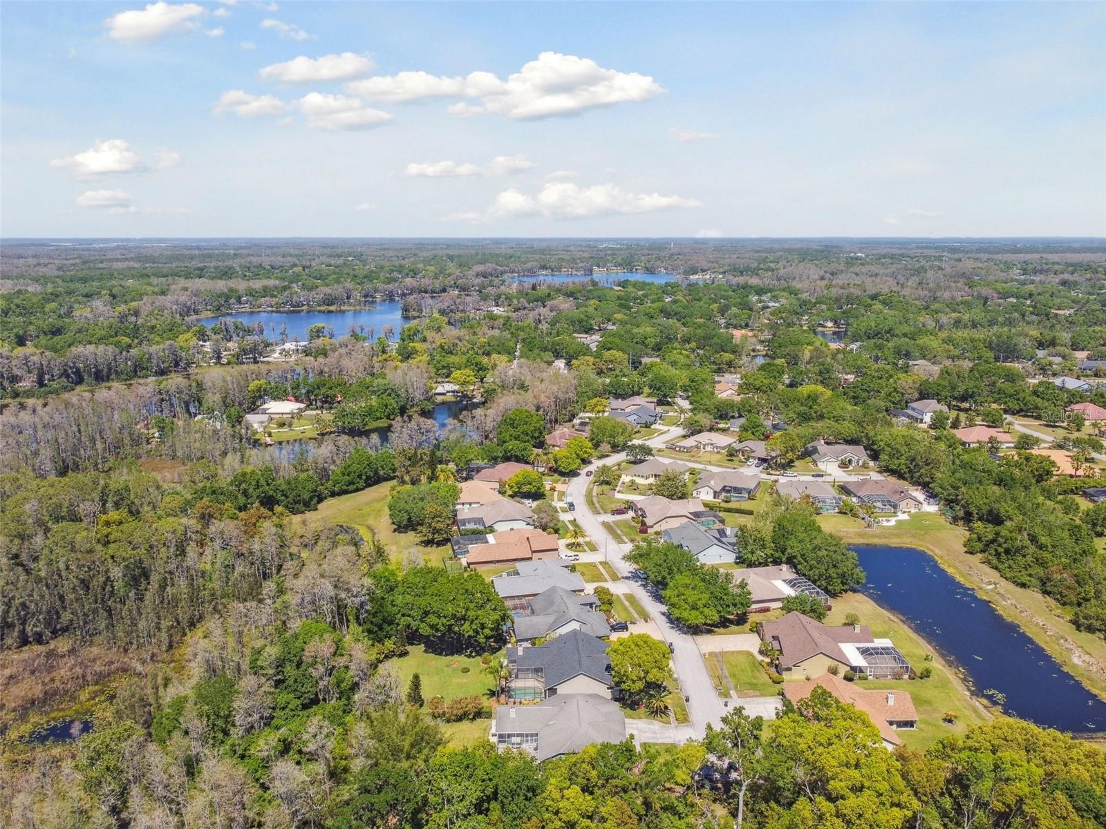 17704 CRYSTAL COVE PL, LUTZ, FL, 33548
