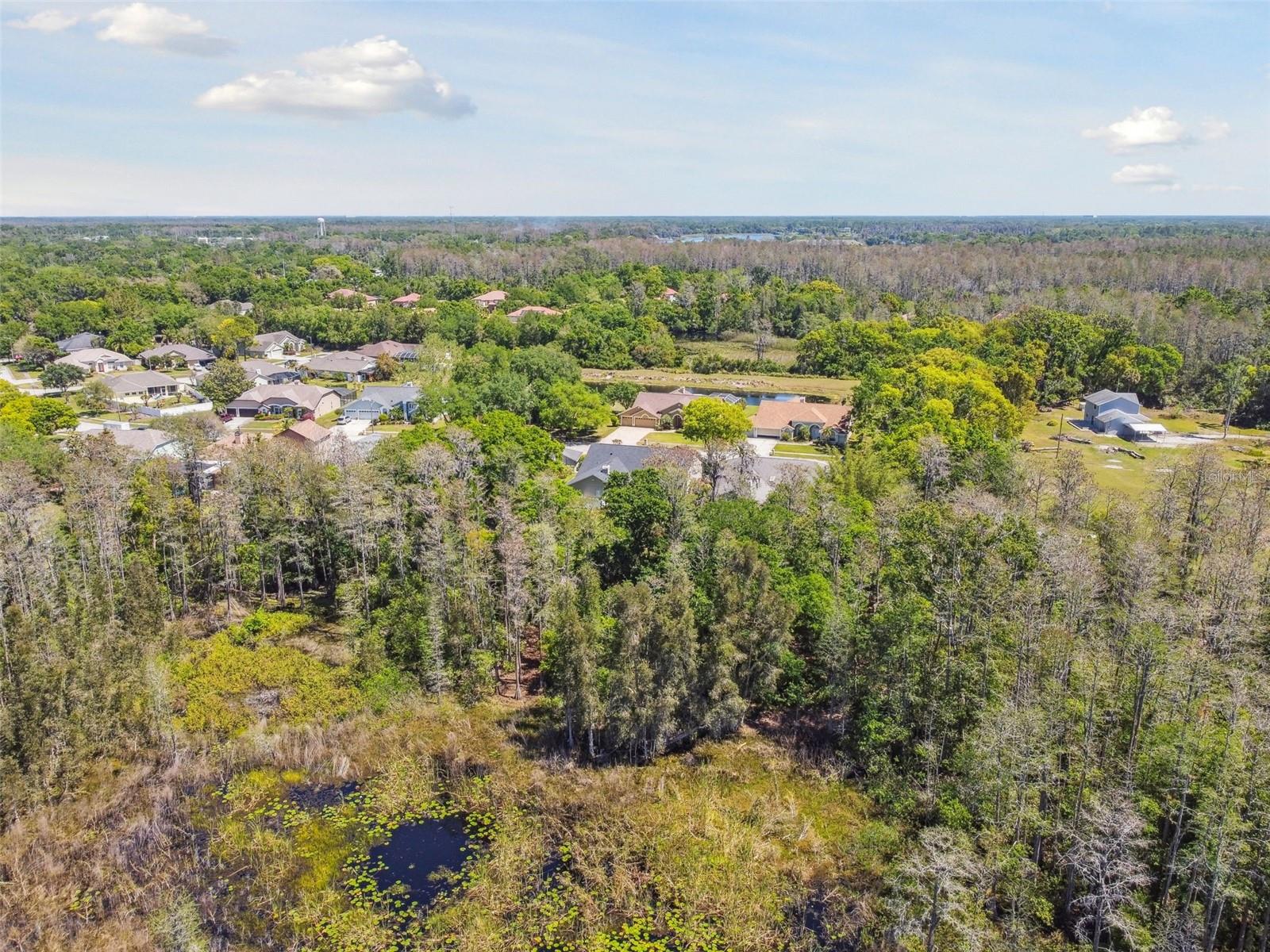 17704 CRYSTAL COVE PL, LUTZ, FL, 33548