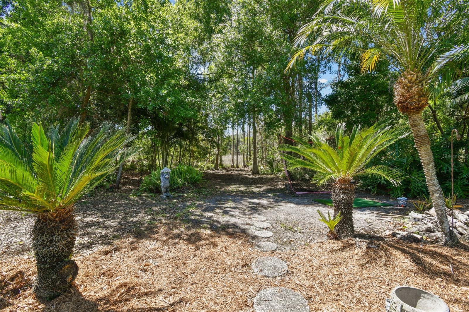 17704 CRYSTAL COVE PL, LUTZ, FL, 33548