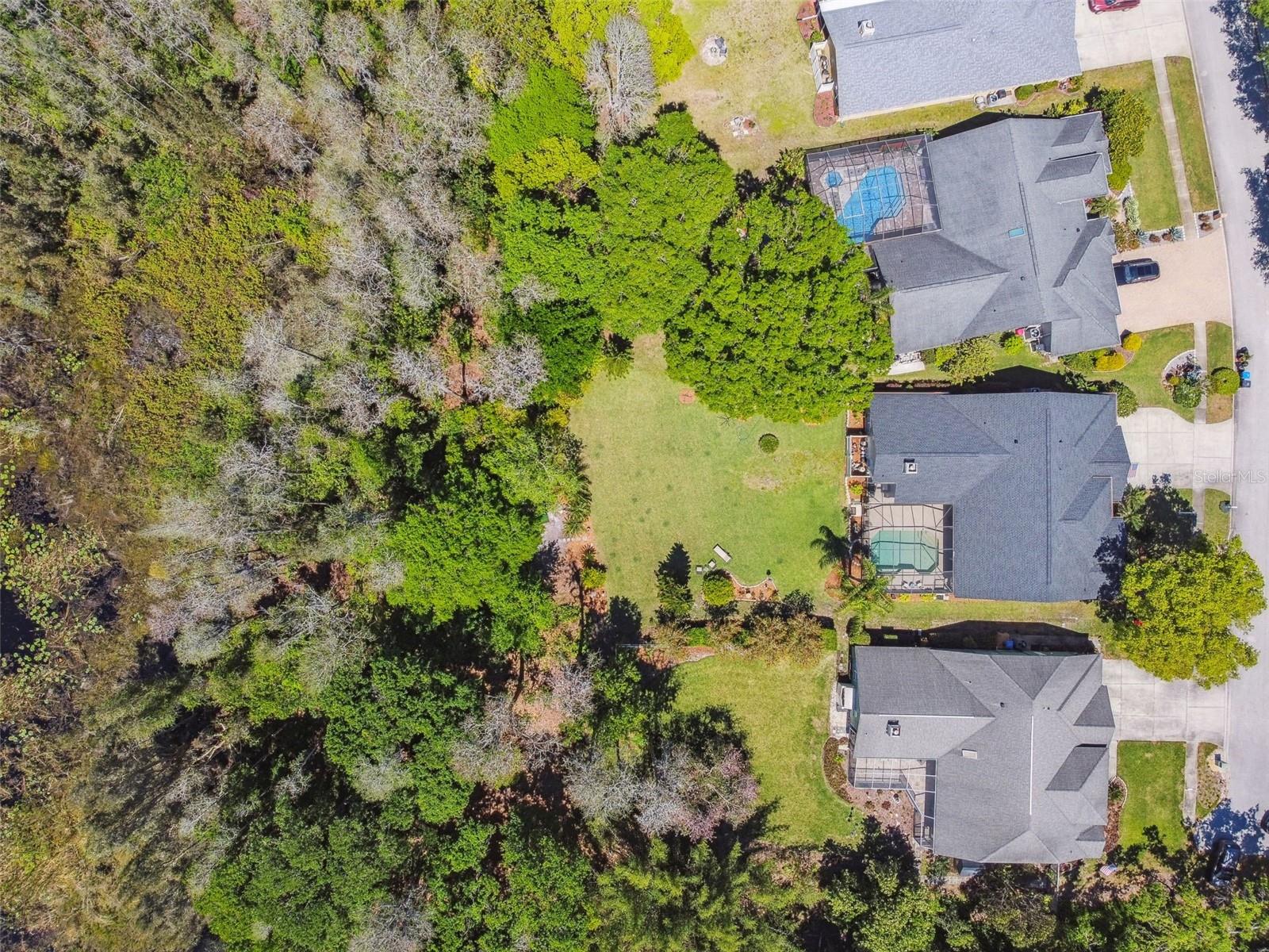 17704 CRYSTAL COVE PL, LUTZ, FL, 33548