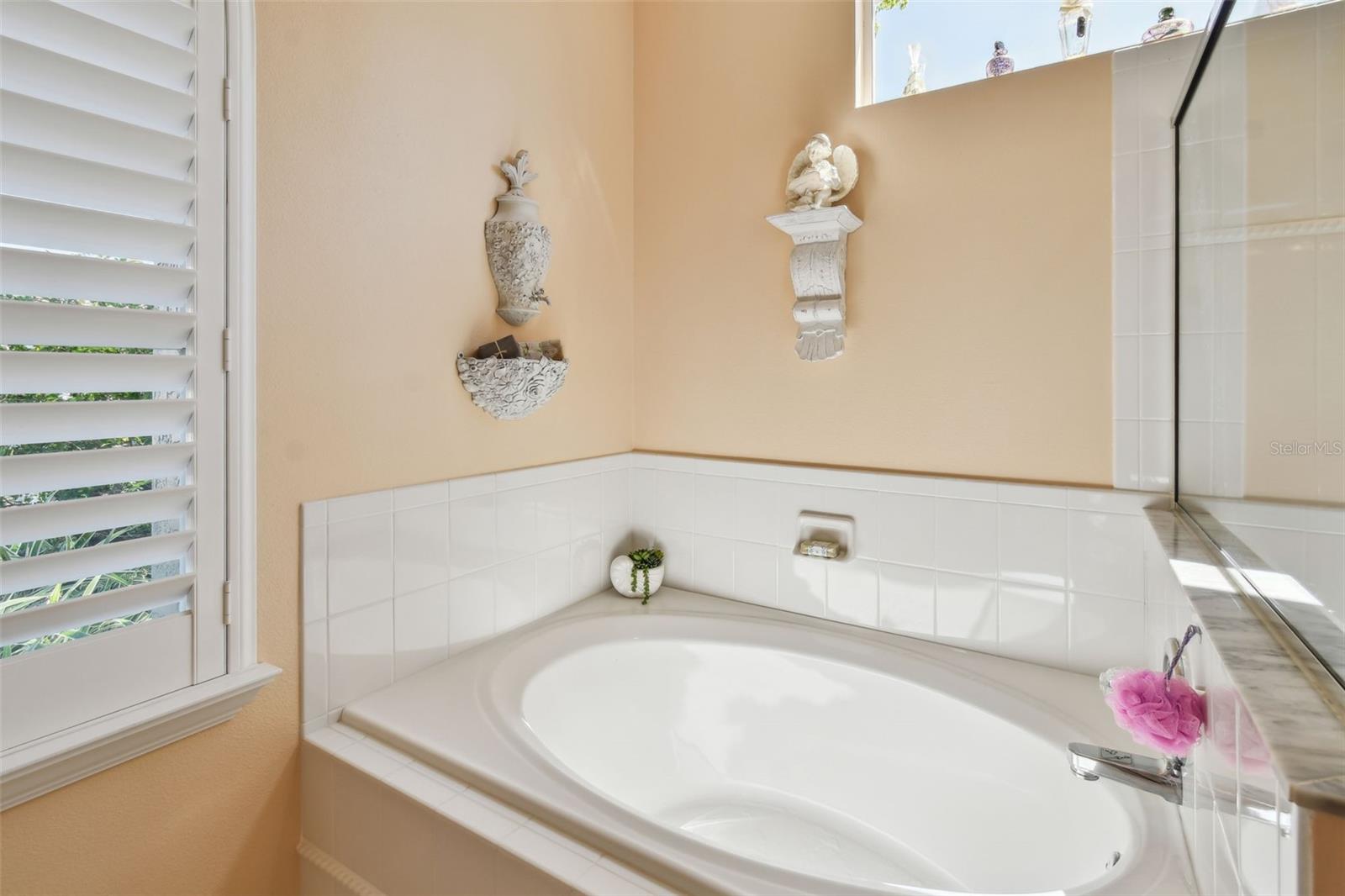17704 CRYSTAL COVE PL, LUTZ, FL, 33548
