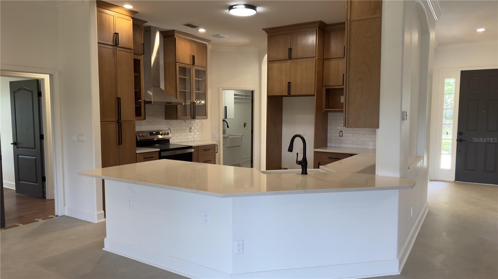 245 LAKE DARBY PL, GOTHA, FL, 34734