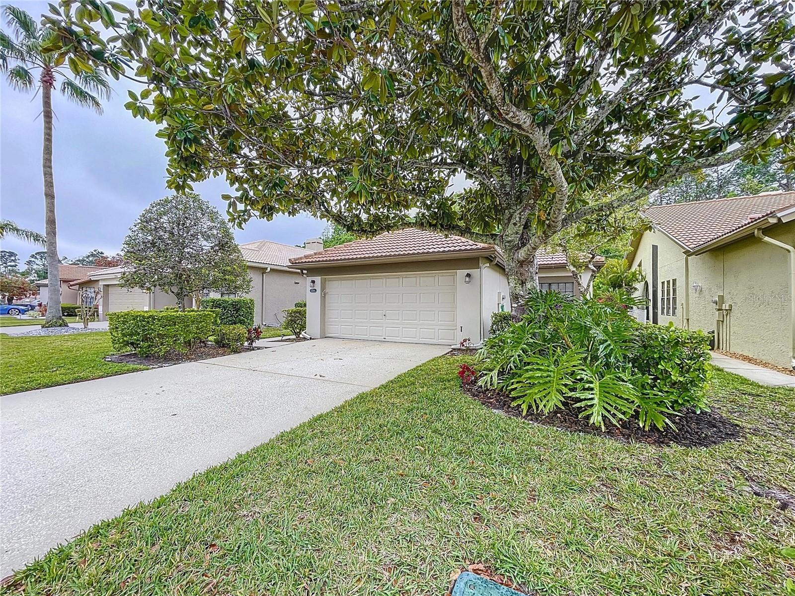 3708 DARSTON ST, PALM HARBOR, FL, 34685