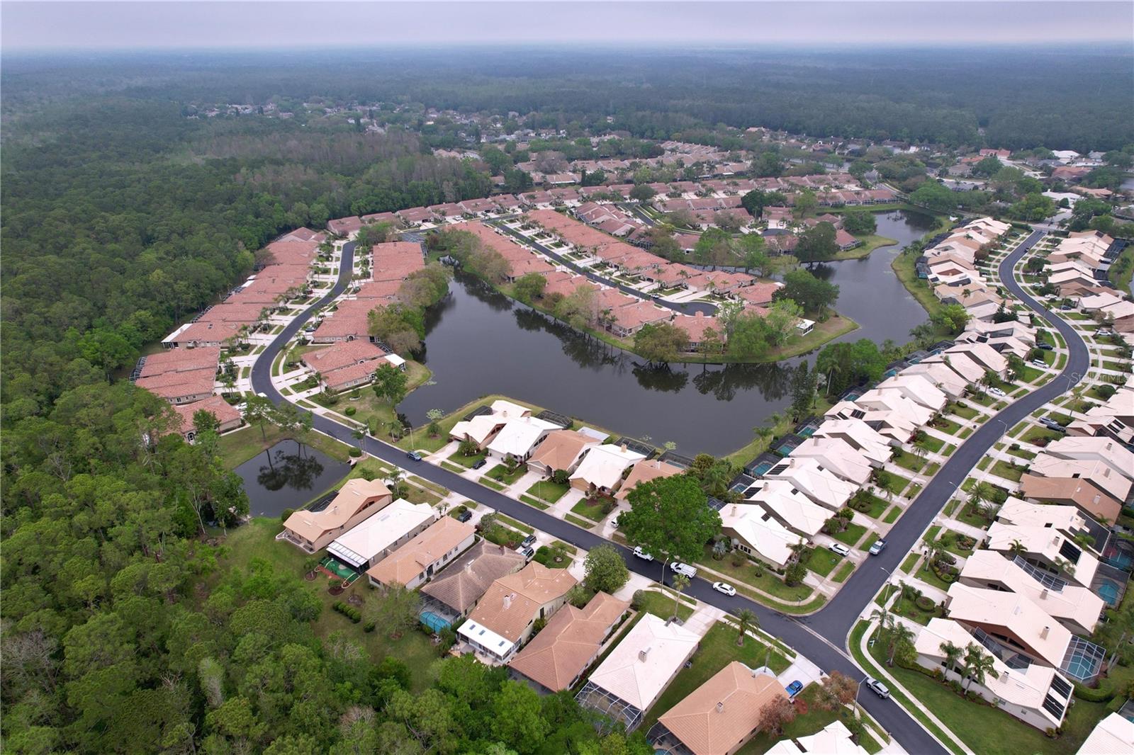 3708 DARSTON ST, PALM HARBOR, FL, 34685