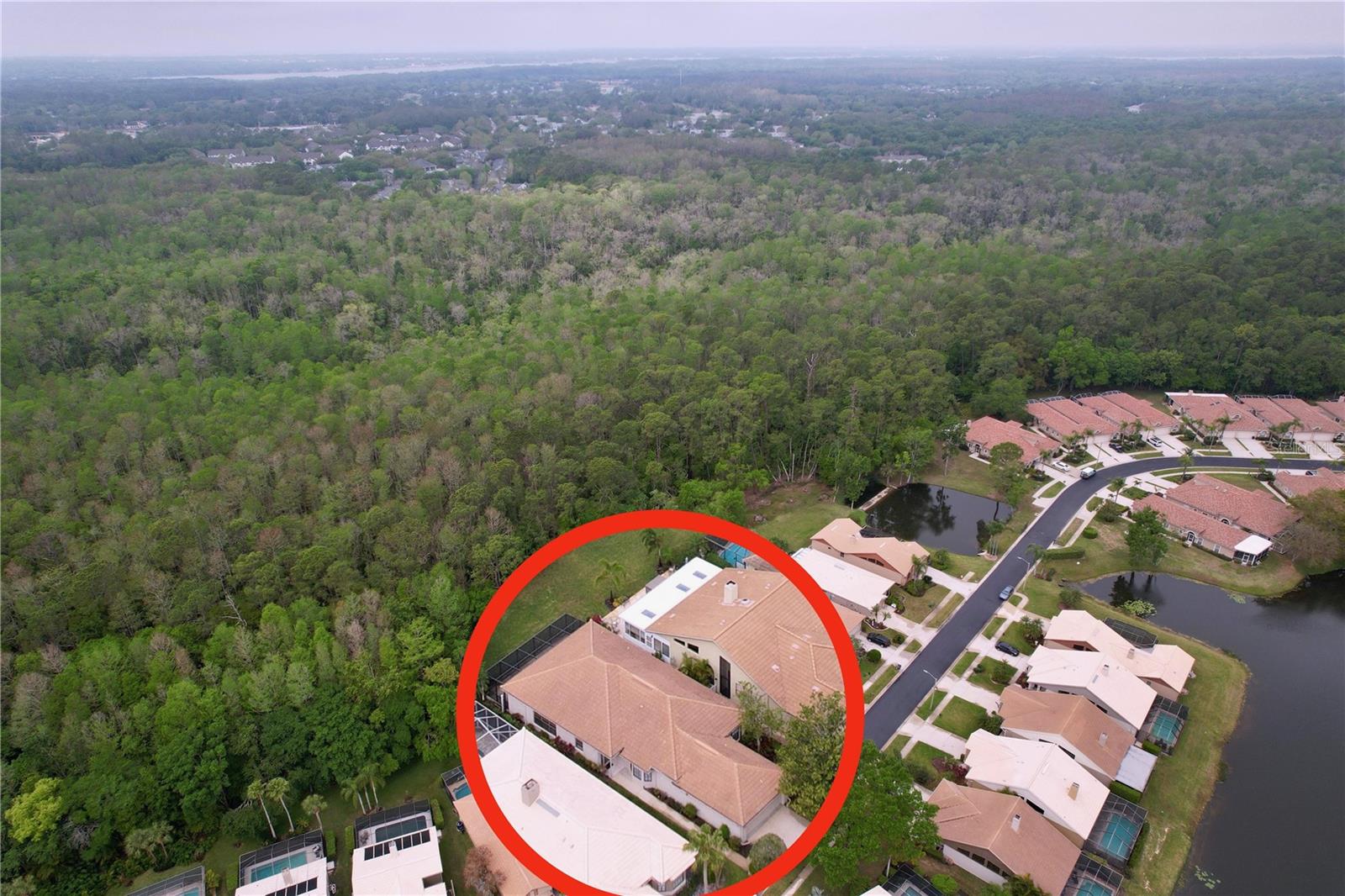 3708 DARSTON ST, PALM HARBOR, FL, 34685
