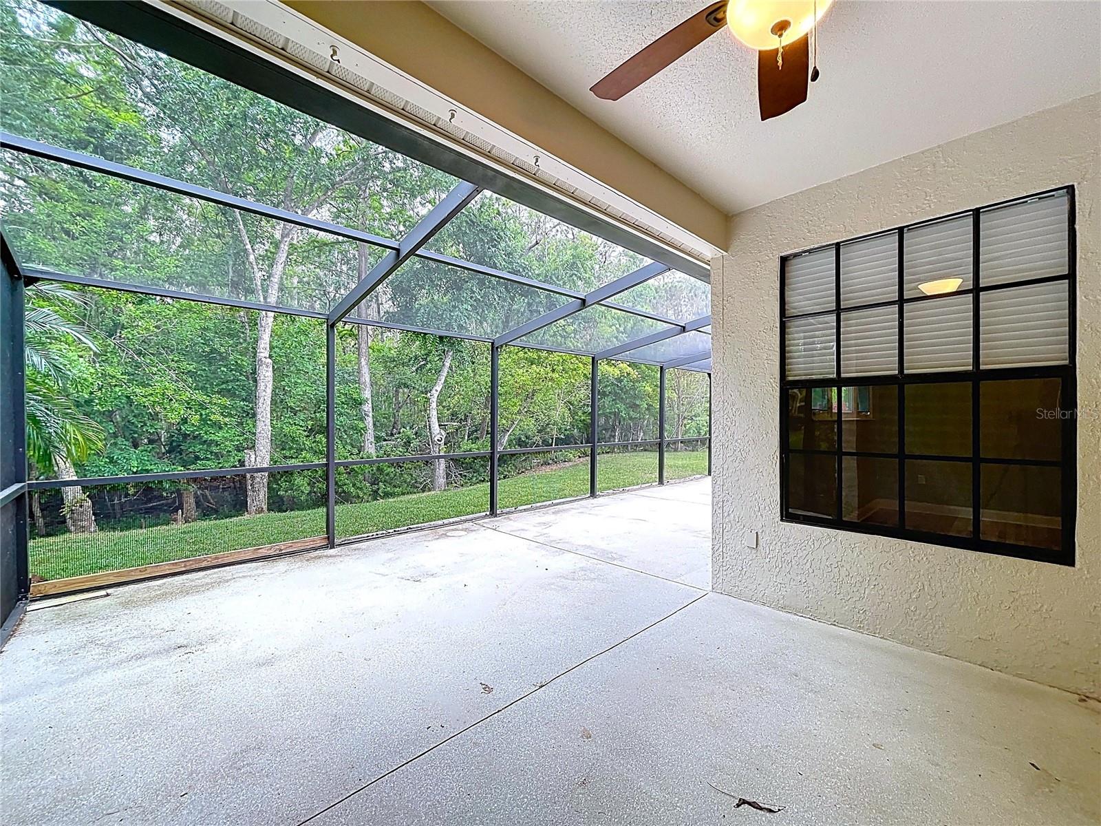 3708 DARSTON ST, PALM HARBOR, FL, 34685