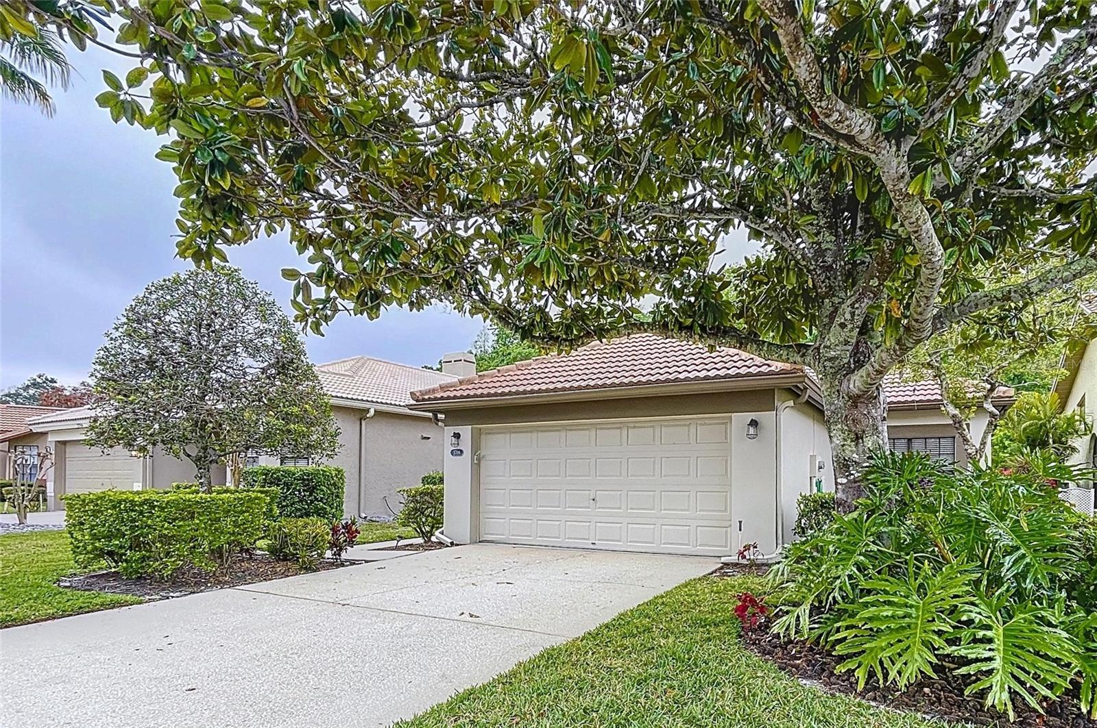 3708 DARSTON ST, PALM HARBOR, FL, 34685