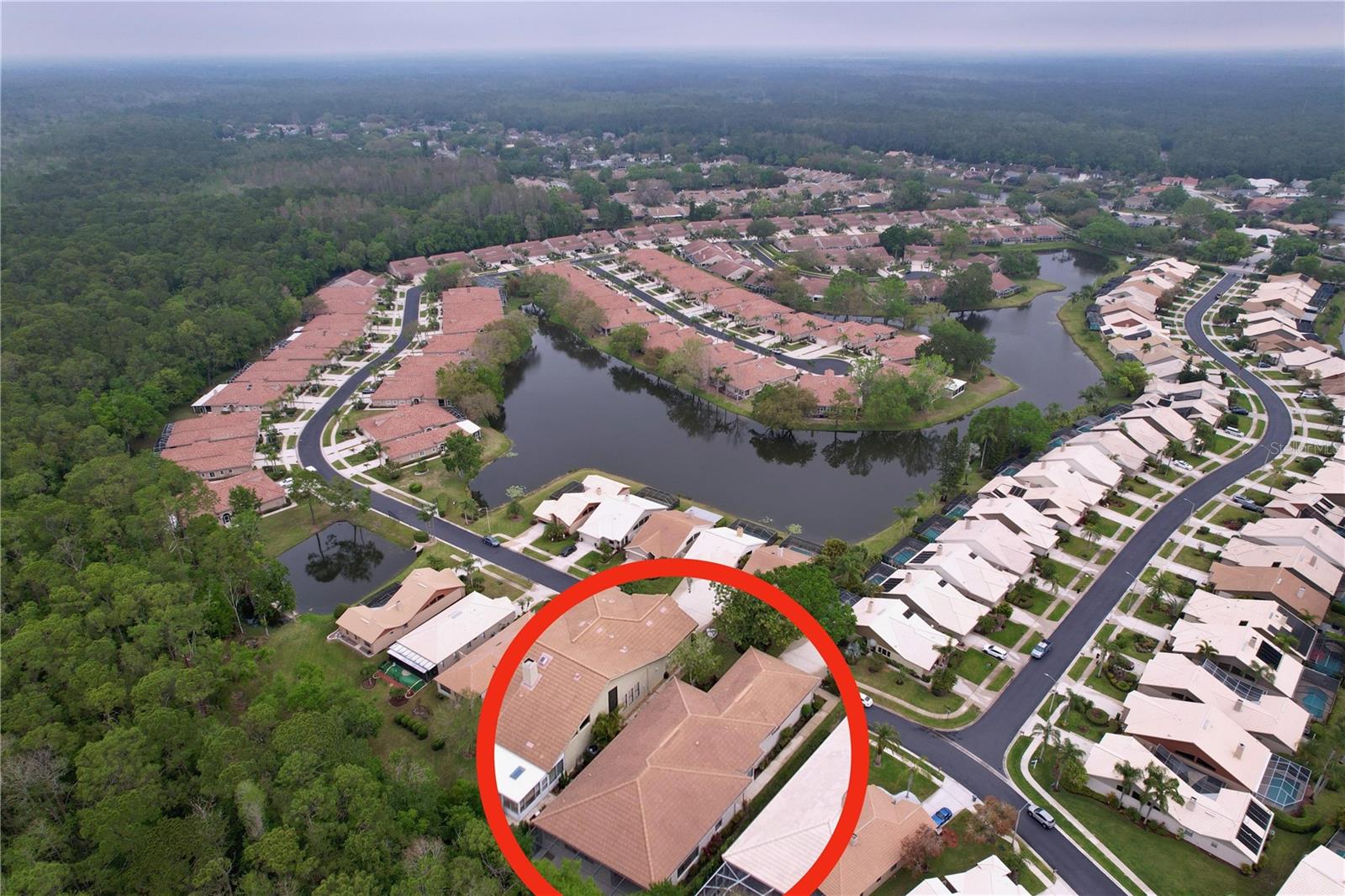 3708 DARSTON ST, PALM HARBOR, FL, 34685