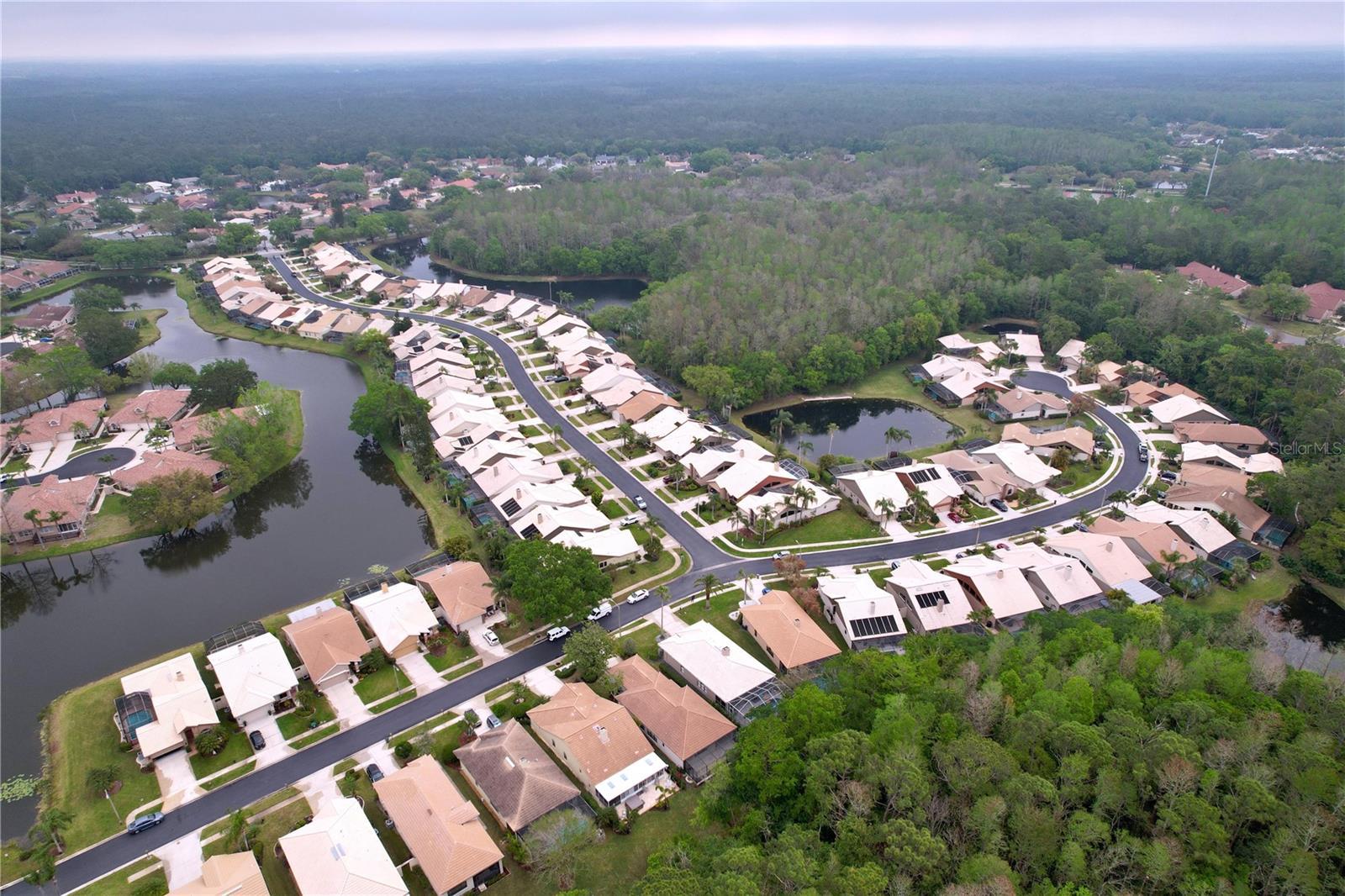 3708 DARSTON ST, PALM HARBOR, FL, 34685