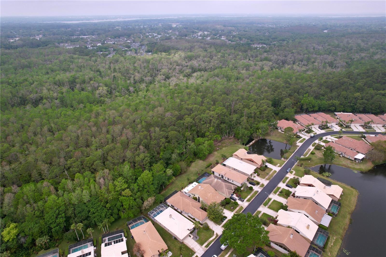 3708 DARSTON ST, PALM HARBOR, FL, 34685