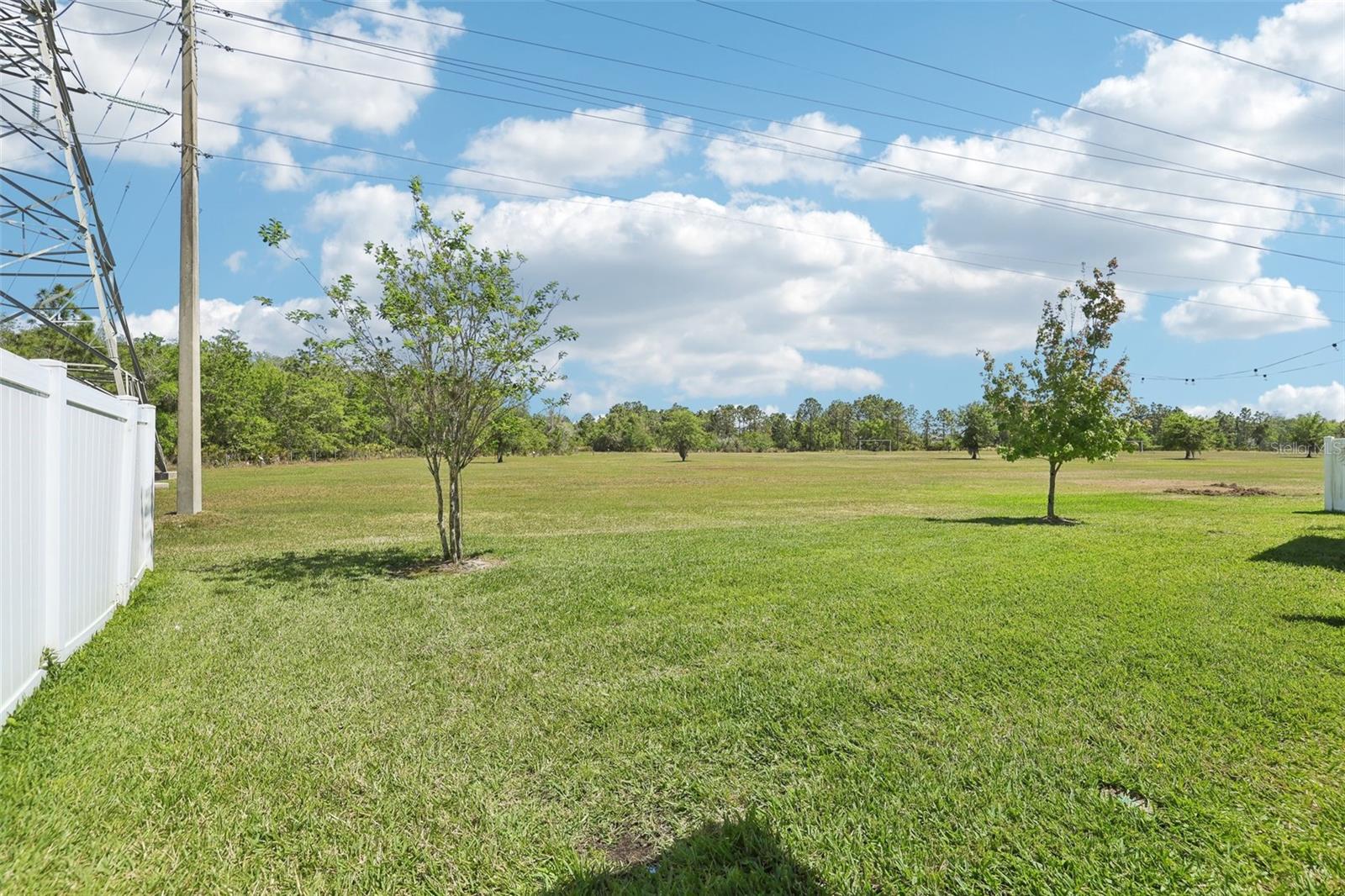 12379 TURTLE GRASS DR, ORLANDO, FL, 32824