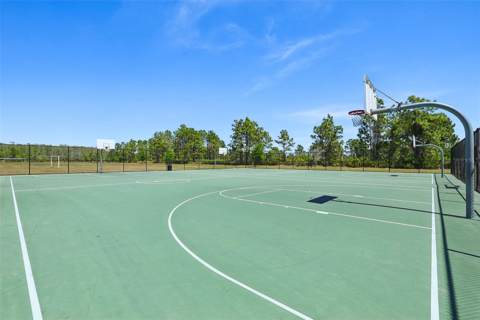 12379 TURTLE GRASS DR, ORLANDO, FL, 32824