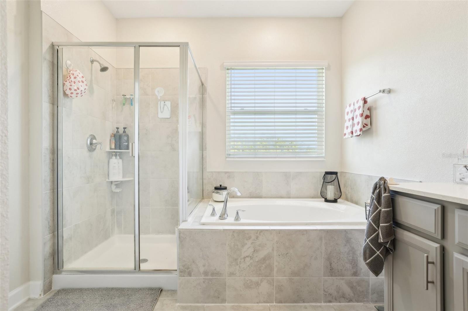 12379 TURTLE GRASS DR, ORLANDO, FL, 32824