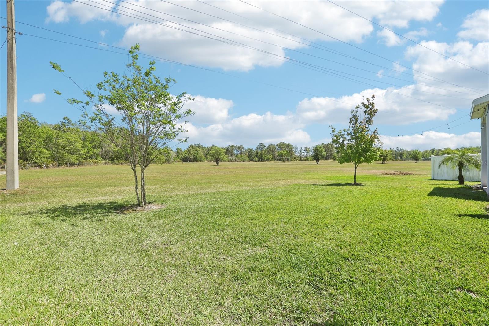 12379 TURTLE GRASS DR, ORLANDO, FL, 32824