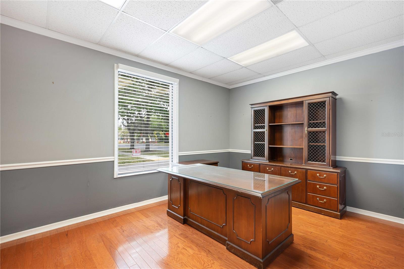 14217 3RD ST, DADE CITY, FL, 33523