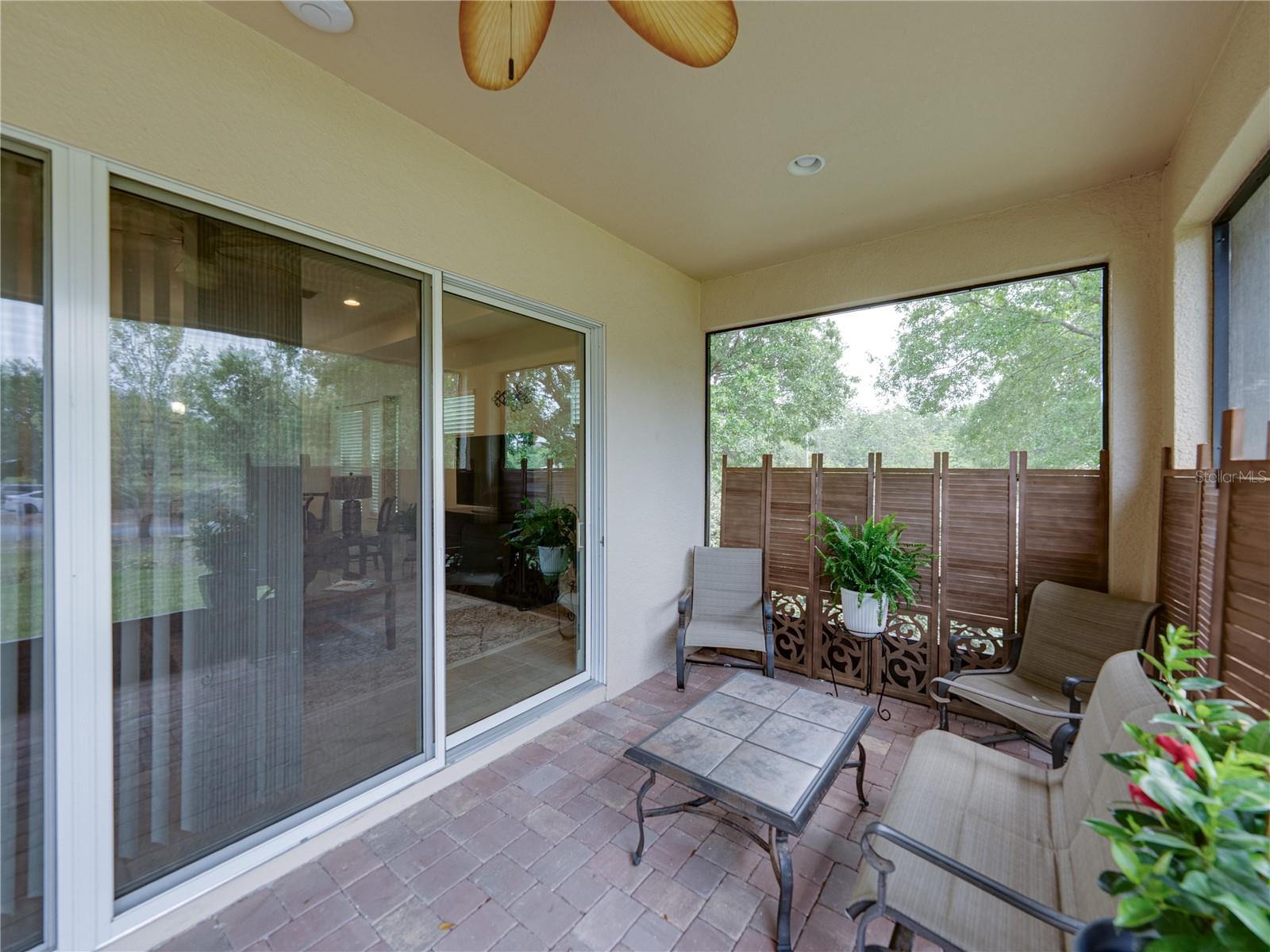 14198 THOROUGHBRED DR, DADE CITY, FL, 33525