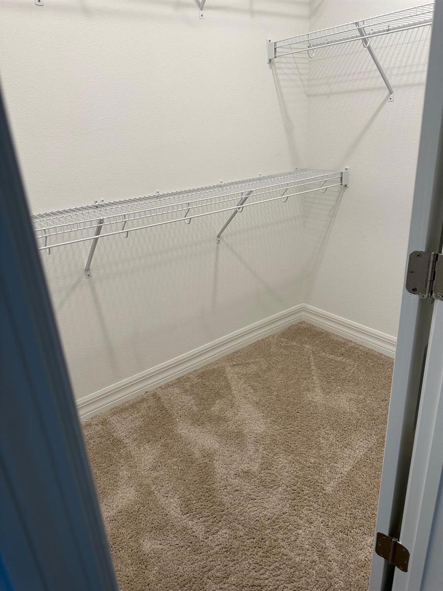 11713 TIDAL ALLEY TRL, ORLANDO, FL, 32832