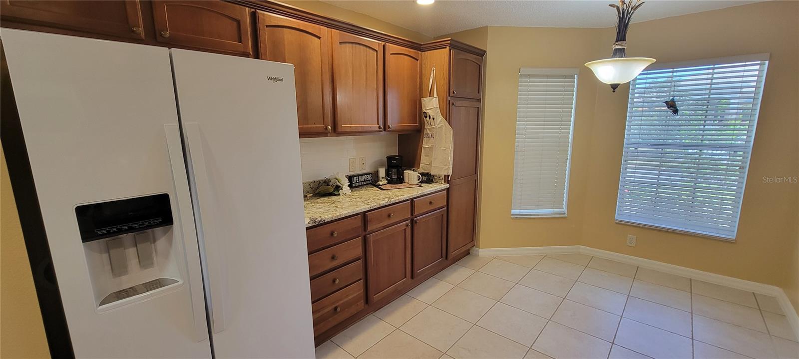 409 MCLEOD LN, THE VILLAGES, FL, 32162