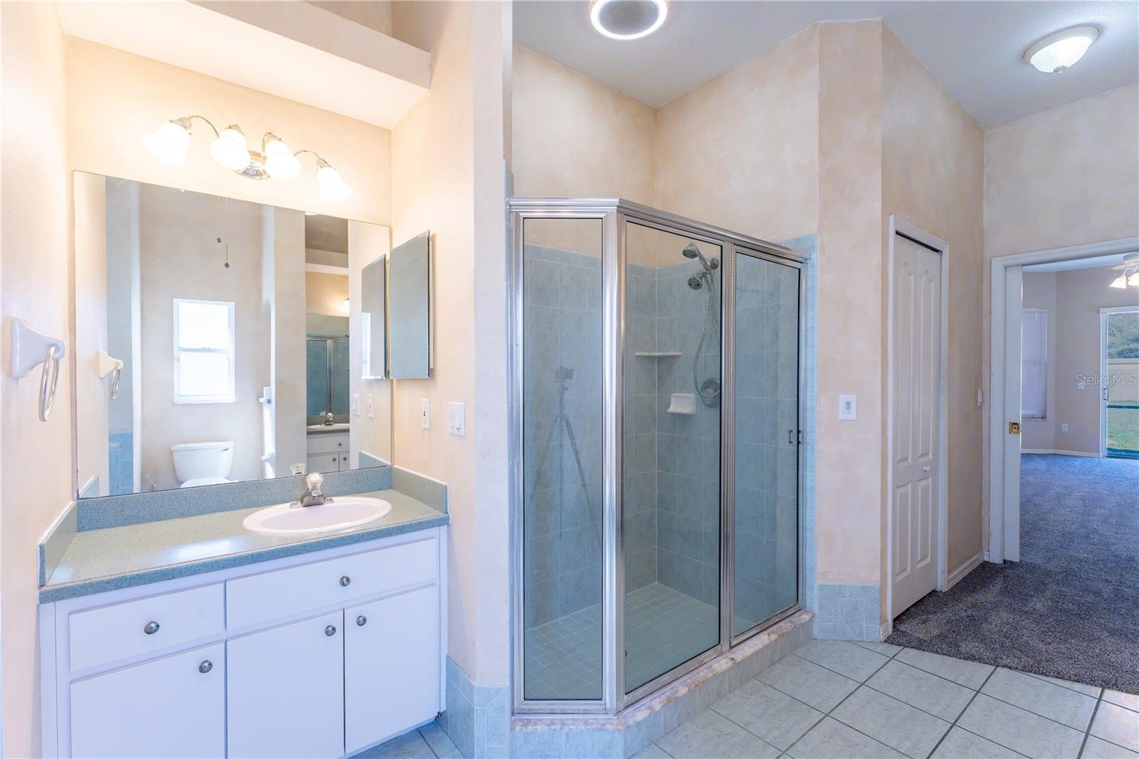 14296 PULLMAN DR, SPRING HILL, FL, 34609
