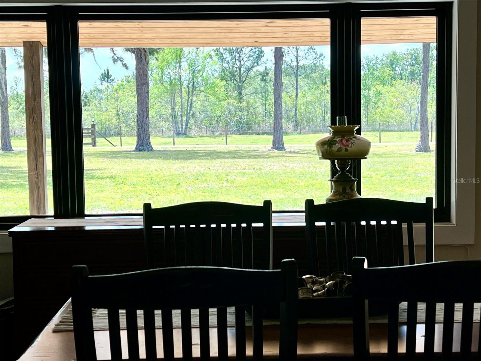 1464 MOUNT PLEASANT RD, GROVELAND, FL, 34736