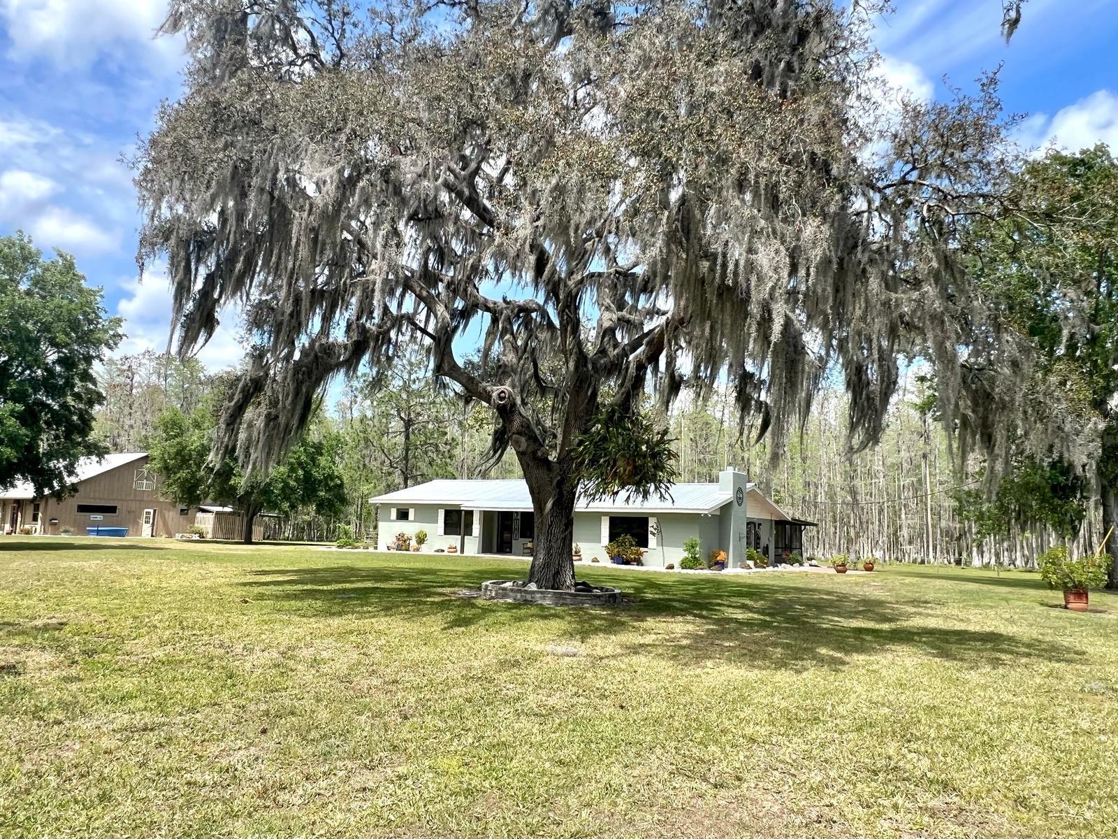1464 MOUNT PLEASANT RD, GROVELAND, FL, 34736