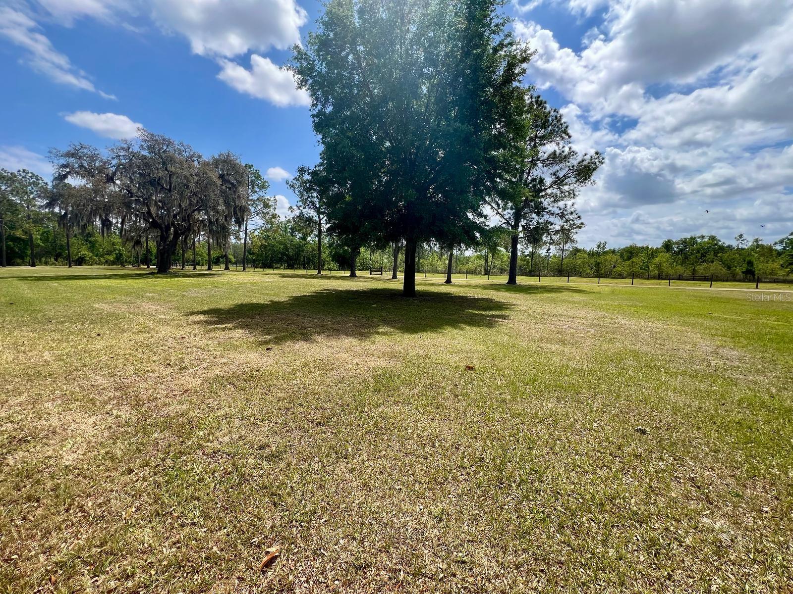 1464 MOUNT PLEASANT RD, GROVELAND, FL, 34736