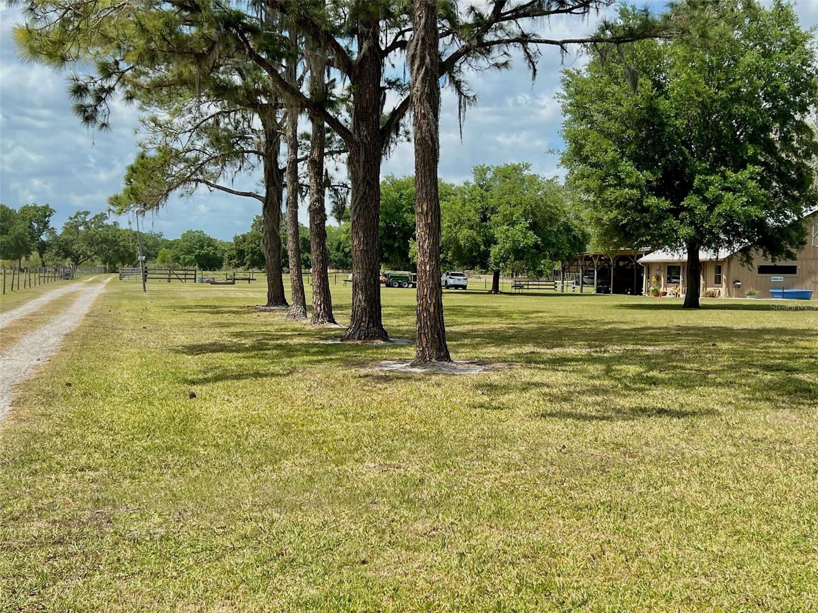 1464 MOUNT PLEASANT RD, GROVELAND, FL, 34736