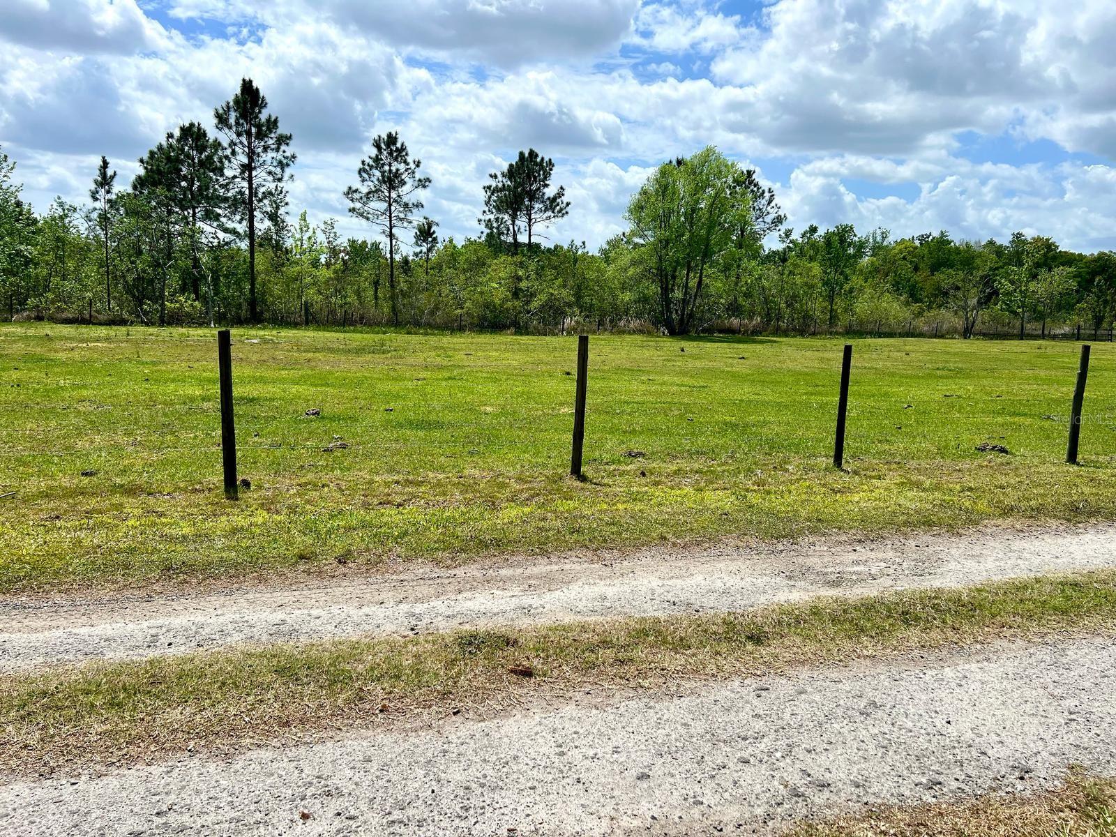 1464 MOUNT PLEASANT RD, GROVELAND, FL, 34736