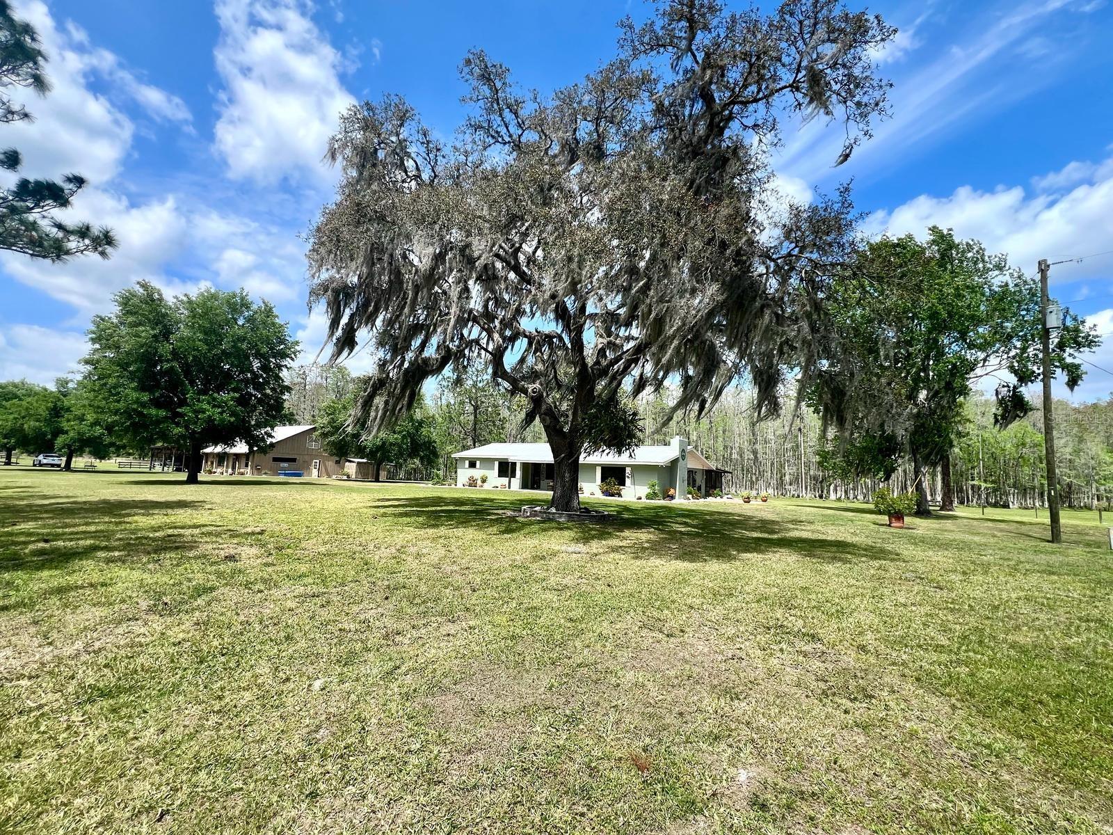 1464 MOUNT PLEASANT RD, GROVELAND, FL, 34736