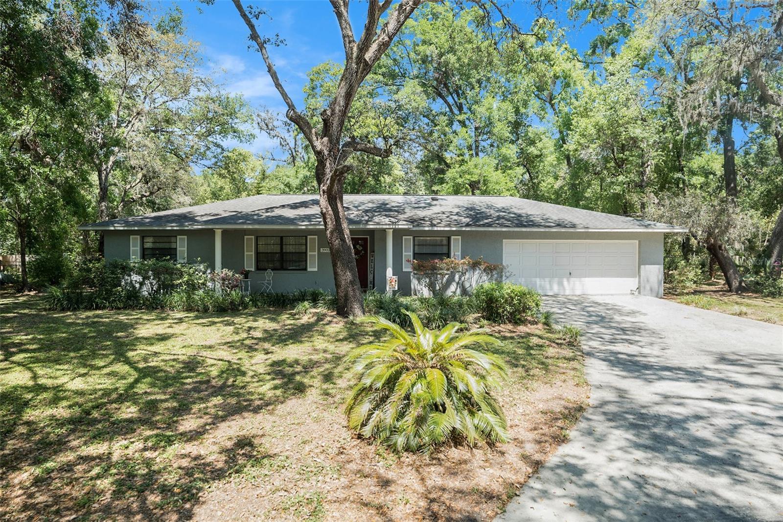 39029 RUANN CT, ZEPHYRHILLS, FL, 33540