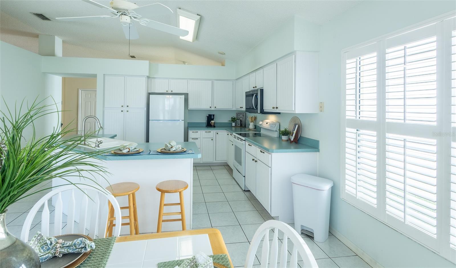 1101 SALDIVAR RD, THE VILLAGES, FL, 32159