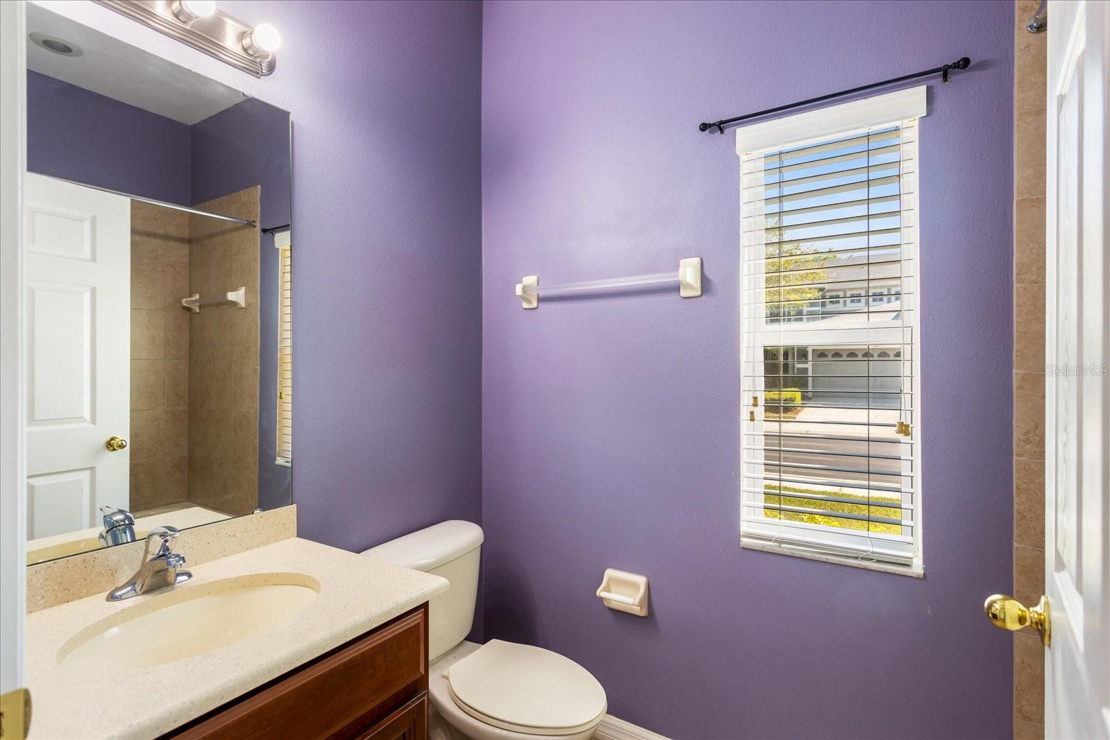 819 FEATHERSTONE LN, LAKE MARY, FL, 32746