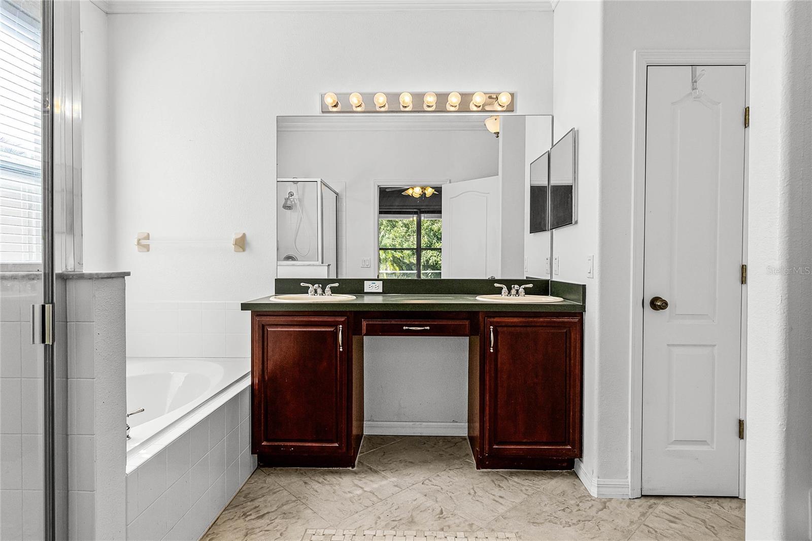 2081 THE OAKS BLVD, KISSIMMEE, FL, 34746