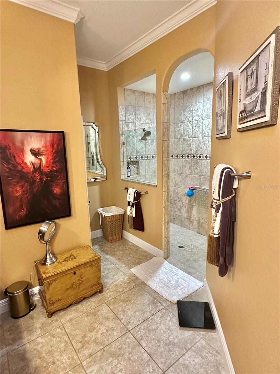 17066 SE 111TH TER, SUMMERFIELD, FL, 34491
