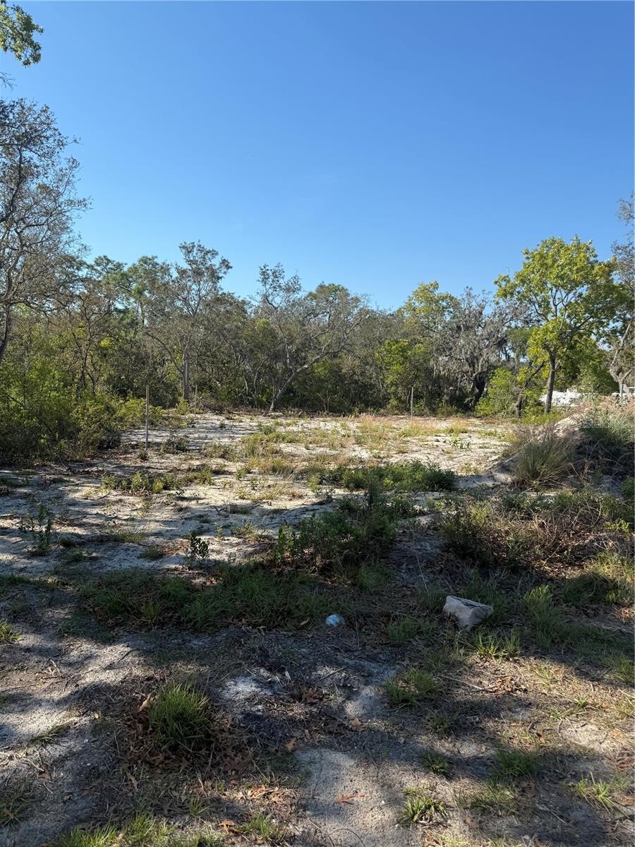449 NAPLES CT, KISSIMMEE, FL, 34759