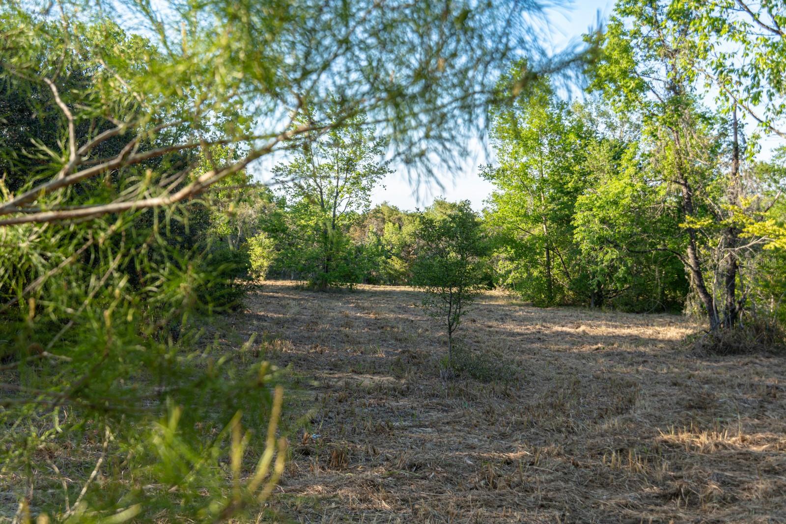 FRIENDSHIP RD, CLERMONT, FL, 34711