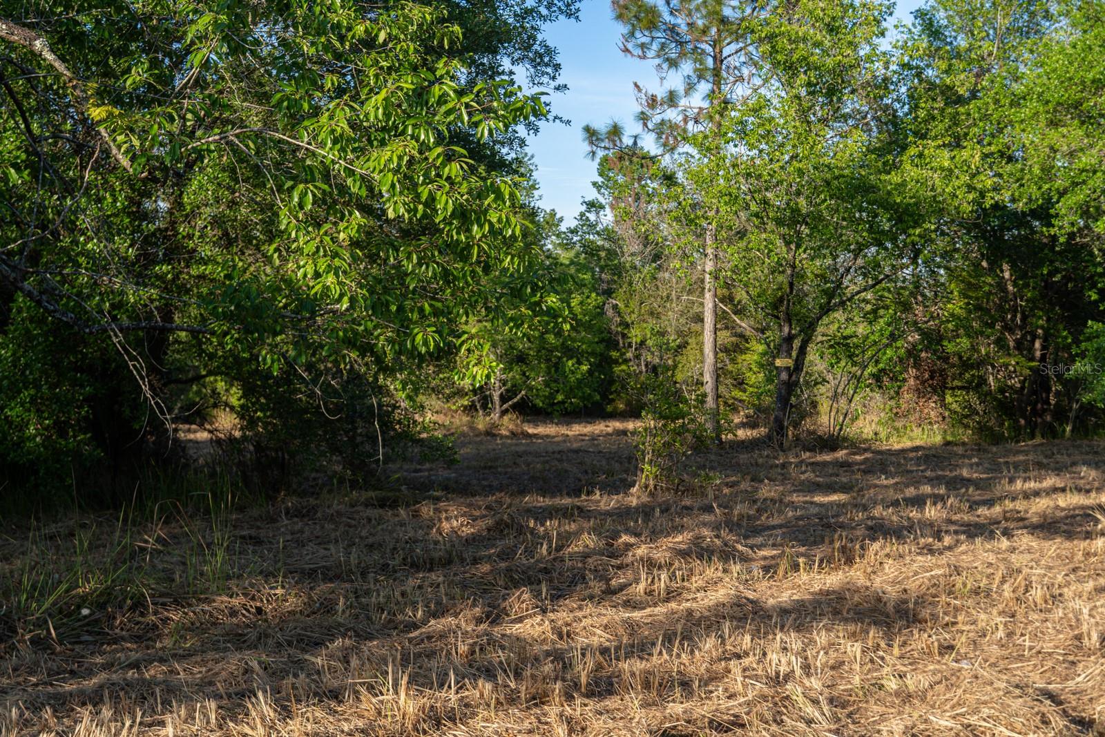 FRIENDSHIP RD, CLERMONT, FL, 34711