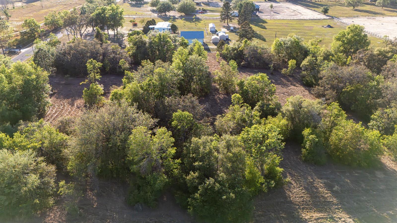 FRIENDSHIP RD, CLERMONT, FL, 34711