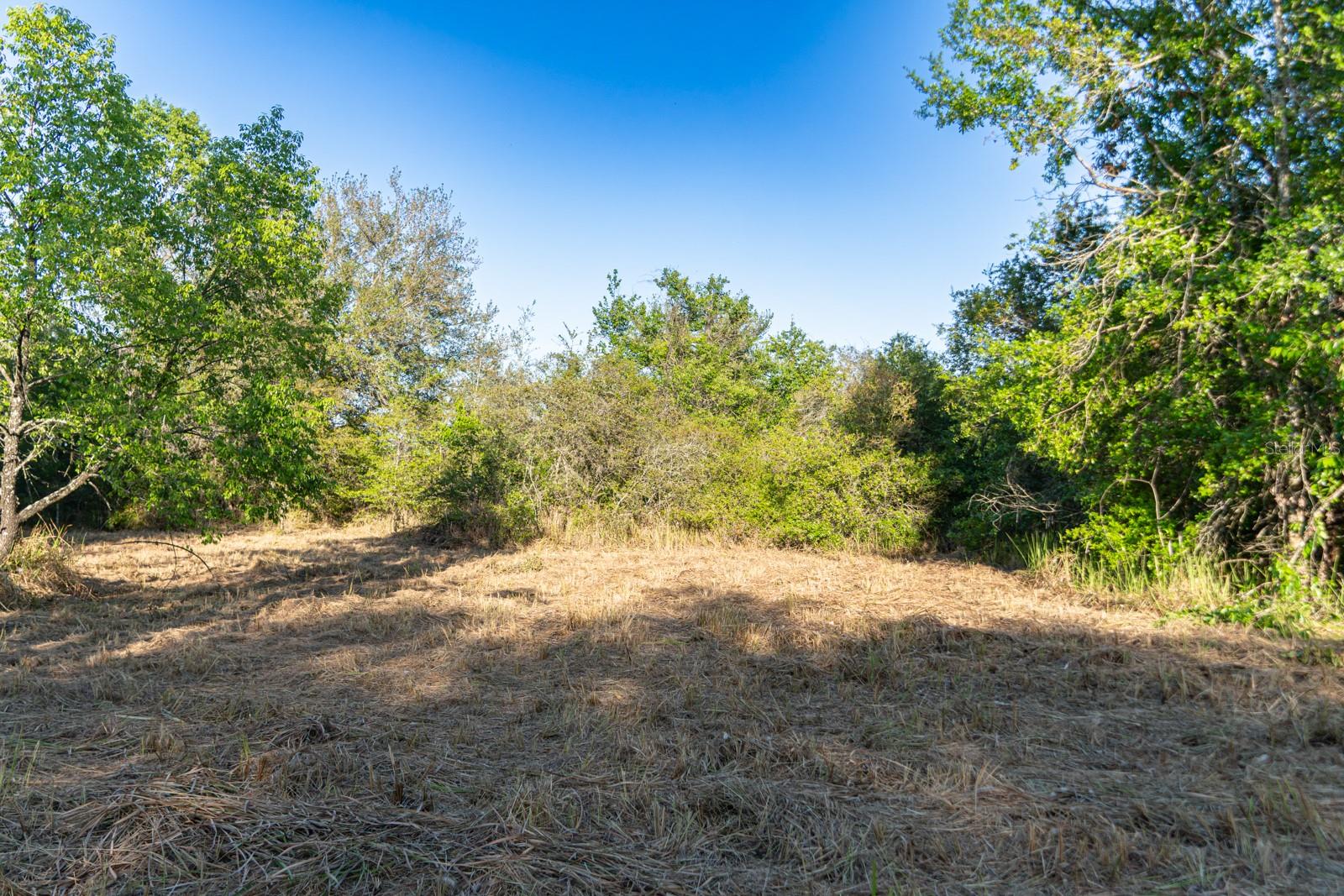 FRIENDSHIP RD, CLERMONT, FL, 34711