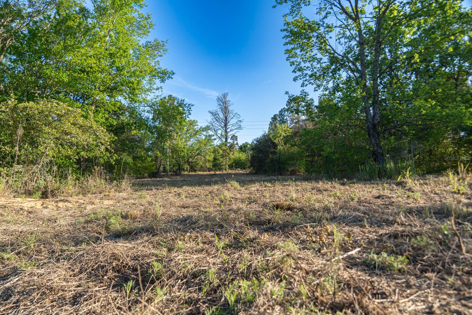 FRIENDSHIP RD, CLERMONT, FL, 34711