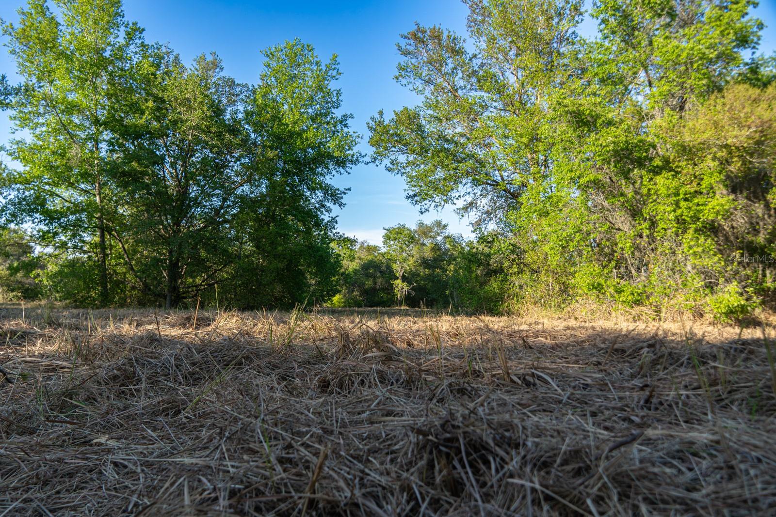 FRIENDSHIP RD, CLERMONT, FL, 34711