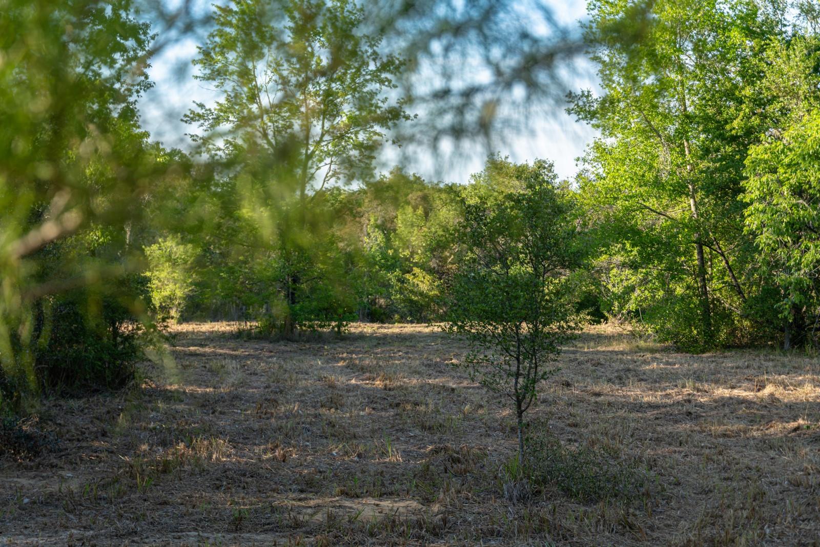 FRIENDSHIP RD, CLERMONT, FL, 34711