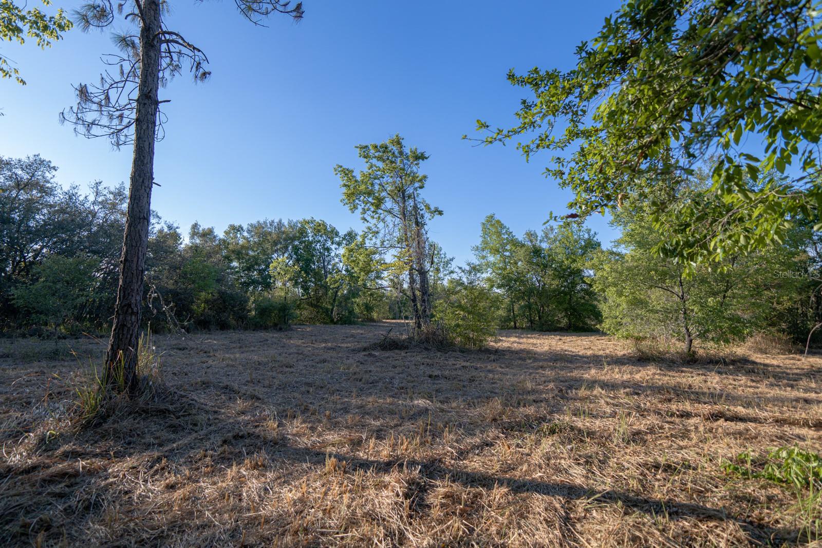 FRIENDSHIP RD, CLERMONT, FL, 34711