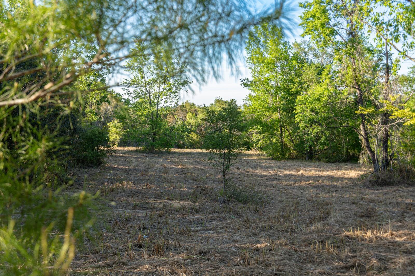 FRIENDSHIP RD, CLERMONT, FL, 34711